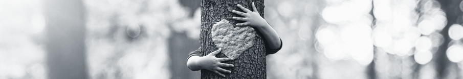 905x156_ESG Baum.png